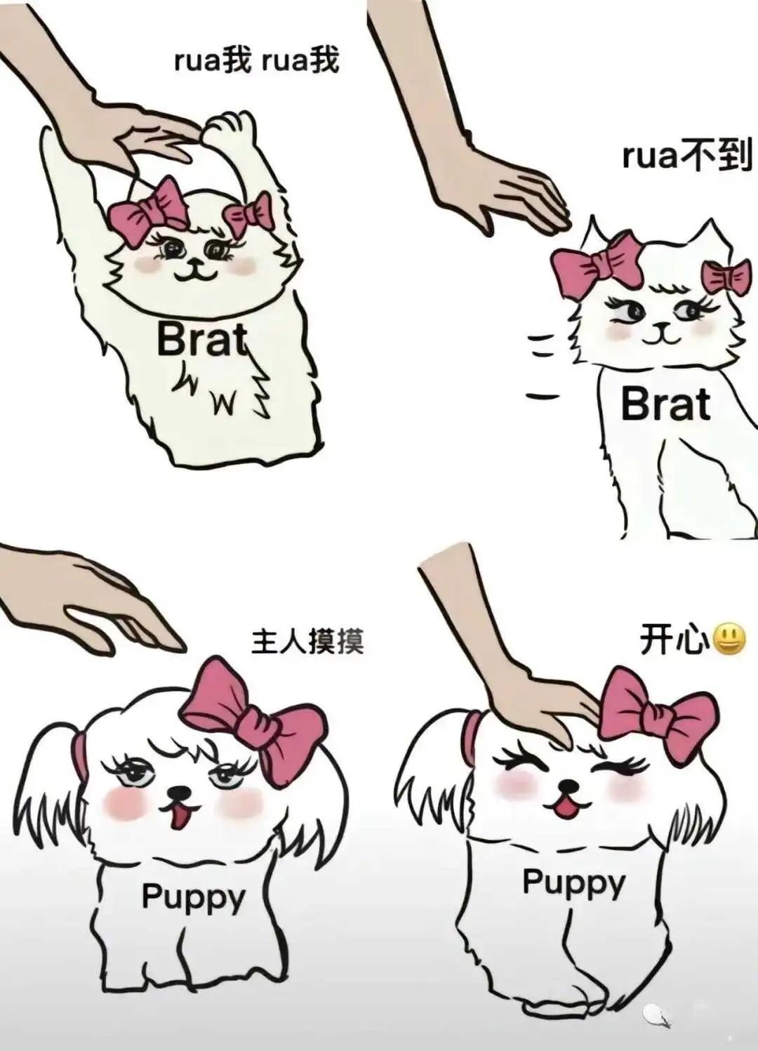 西檬之家安全词到底是什么?字母圈新人必看指南 一