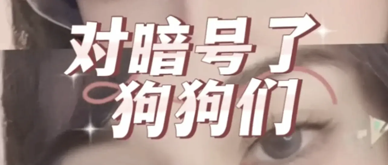 西檬之家字母圈switch是怎样的体验?如何找到你的角色? 一