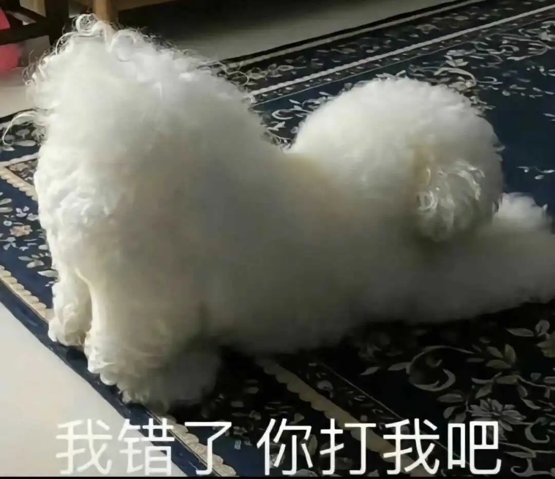 西檬之家女王角色解析:你了解字母圈的女王吗? 一
